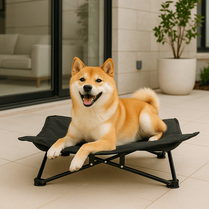 Lit-de-camping-pour-chien-chiot-pliable-imperméable-avec sac de transport-sur pied antidérapant en acier-rembourrage 100% coton-déhoussable et lavable-installation facile et rapide-prêt à l'emploi-solide-robuste et durable pour une utilisation intérieur et extérieur-surélevé et respirant pour toutes saisons-un chien moyen couché et heureux sur son hamac noir sur la terrasse de l'appartement en été