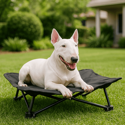 Lit-de-camping-pour-chien-chiot-pliable-imperméable-avec sac de transport-sur pied antidérapant en acier-rembourrage 100% coton-déhoussable et lavable-installation facile et rapide-prêt à l'emploi-solide-robuste et durable pour une utilisation intérieur et extérieur-surélevé et respirant pour toutes saisons-un chien couché et heureux sur son hamac noir compact dans le jardin de la maison en été