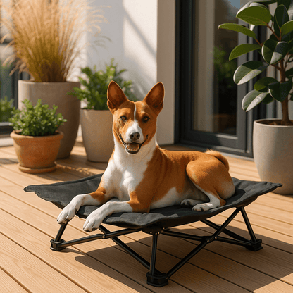Lit-de-camping-pour-chien-chiot-pliable-imperméable-avec sac de transport-sur pied antidérapant en acier-rembourrage 100% coton-déhoussable et lavable-installation facile et rapide-prêt à l'emploi-solide-robuste et durable pour une utilisation intérieur et extérieur-surélevé et respirant pour toutes saisons-un chien couché et heureux sur son hamac noir compact sur la terrasse de l'appartement en été