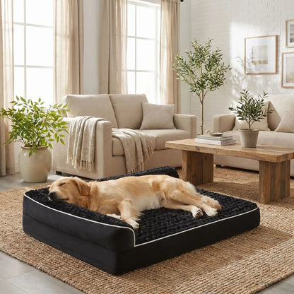 Lit-pour-grand-chien-orthopédique-xxl avec traversin intégré,antidérapant-imperméable-déhoussable-lavable en machine-résistant aux griffes et morsures  pour grand chien et chiot jusqu'à 50 kg max-en velours côtelé et 100% Coton PP et deux traversins cylindriques rembourré en forme de L de couleur gris pour un effet apaisant et sécurisant-un chien de grand taille qui dort couché sur le flanc, sa tête reposant contre le traversin en L de couleur noir épais et ergonomique dans le salon de la maison