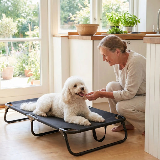 Lit-pliant-chien-camp-4-tailles du S au XXL ppur chiot et chien de toute races , imperméable en tissu teslin ultra résistant et respirant , rafraichissant en été, surélevé avec ses pieds et sa structure en métal robute avec barre au milieu pour une maille qui ne s'affaisse pas, avec poignée de transport, léger et compact pour un lit interieur et extérieur- un caniche confortablement couché sur son lit surélevé hamac noir de taille M et sa maitressequi lui donne une friandise dans la cuisine en été 