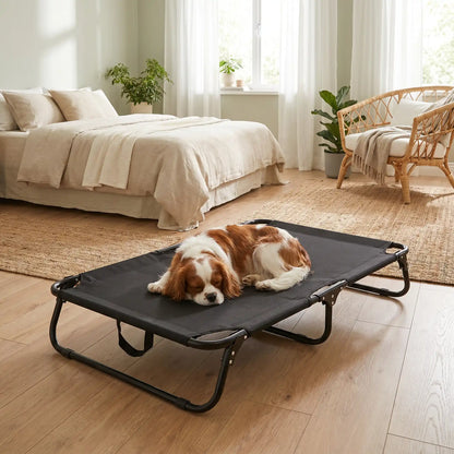 Lit-pliant-chien-camp-4-tailles du S au XXL ppur chiot et chien de toute races , imperméable en tissu teslin ultra résistant et respirant , rafraichissant en été, surélevé avec ses pieds et sa structure en métal robute avec barre au milieu pour une maille qui ne s'affaisse pas, avec poignée de transport, léger et compact pour un lit intérieur et extérieur- un chien de race moyenne à poils épais et longs qui dort sur son lit pliant xl noir dans la chambre de la maison en été