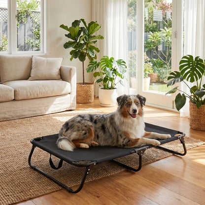 Lit-pliant-chien-camp-4-tailles du S au XXL ppur chiot et chien de toute races , imperméable en tissu teslin ultra résistant et respirant , rafraichissant en été, surélevé avec ses pieds et sa structure en métal robute avec barre au milieu pour une maille qui ne s'affaisse pas, avec poignée de transport, léger et compact pour un lit interieur et extérieur- un Berger australien couché confortablement sur le lit de camp pliant de couleur noir dans le salon de la maison en été
