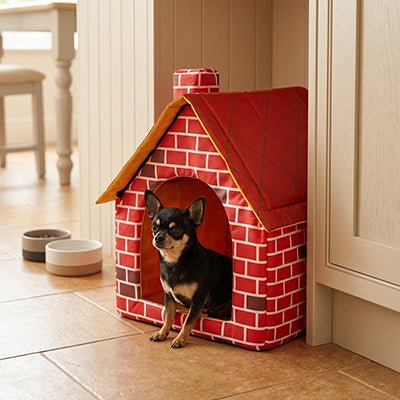 Maison-interieure-pour-chien-chiot-race-naine ou toy, lavable, antidérapant, design maison de brique rouge avec toit et cheminée-rigide installation rapide et démontable en quelques minutes pour chiot et chien de 0 à 3 kilos maximum-un chihuahua assis confortablement dans la mini niche en forme de maison dans la cuisine de l'appartement