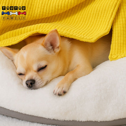 Niche-d-intérieur-pour-petit-chien-tente-coton-un chihuahua qui dort paisiblement et au chaud dans sa petite maison avec rideau sur le coussin 100% coton haute densité réversible avec face été et hiver