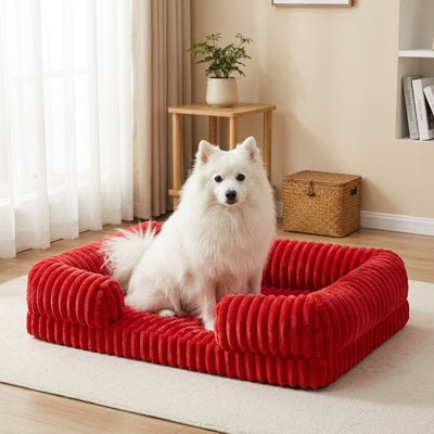 Panier-chien-déhoussable-design de canapé-antidérapant, imperméable et lavable en machine-housse en velours ultra-doux, résistant et chaud-rebord cylindrique entourant en U avec rembourrage 100% coton haute densité ergonomique-matelas orthopédique haute résilience du S au XL, de forme rectangulaire avec entrée devant pour chiot et chien de petite à grande de 0 à 40 kg – un chien de taille moyenne assis confortablement dans son panier orthopédique entourant et apaisant de couleur rouge dans le salon 