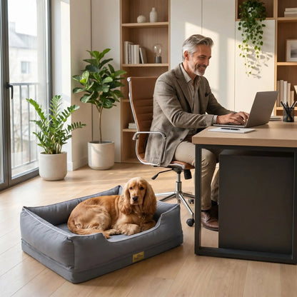 Panier-orthopedique-chien chiot entièrement déhoussable et lavable en machine, avec matelas éponge 100% coton haute résilience à mémoire de forme, imperméable et antidérapant, avec rebords surélevés et housse  imperméable résistante aux griffes, intérieur en fausse fourrure de mouton hypoallergénique et ultra-doux, disponible en 4 tailles M, L, XL et XXL pour chiot et chien de 0 à 60 kilos max-un chien moyen couché confortablement dans son grand panier gris au pied du bureau de son maître qui travaille 