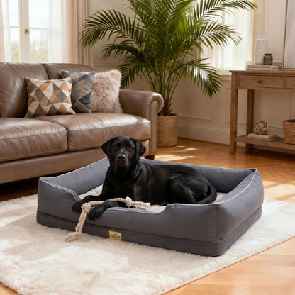 Panier-orthopedique-chien chiot entièrement déhoussable et lavable en machine, avec matelas éponge 100% coton haute résilience à mémoire de forme, imperméable et antidérapant, avec rebords surélevés et housse  imperméable résistante aux griffes, intérieur en fausse fourrure de mouton hypoallergénique et ultra-doux, disponible en 4 tailles M, L, XL et XXL pour chiot et chien de 0 à 60 kilos max-un grand chien couché confortablement dans son grand panier gris avec rebord dans le salon de l'appartement