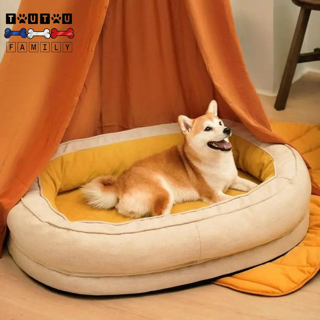 Panier-orthopedique-chien-dehoussable-un -chien de taille moyenne couché sur le ventre tout heureux dans son panier avec rebord surélevé à 360° déhoussable-lavable-en-machine-solide-avec-matelas-à-mémoire-de-forme-et-coussin-intégré-et-amovible-ergonomique-100% coton-imperméable-et-antidérapant  
