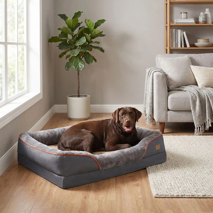 Panier-orthopédique-chien-chiot grande taille xxl, déhoussable et lavable, imperméable et antidérapant avec haut rebord rembourré avec matelas à mémoire de forme, housse en peluche douce et tissu réistant et imperméable, en 3 tailles L, XL et XXL pour chiot et chien de 0 à 70 kilos maximum-un Labrador couché confortablement en boule dans le panier épais, entourant à 360° sécurisant de couleur gris foncé dans le salon de la maison
