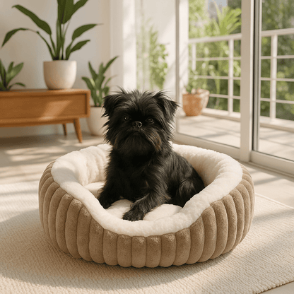 Panier-petit-chien-apaisant-antidérapant-lavable en machine-épais au rembourrage 100% coton haute densité-tissu extérieur en velours résistant aux griffes-ergonomique avec rebords surélevés-anti-anxiété et anti- stress-entourant-sécurisant pour chien de petite taille et chiot-un chien de petite taille couché confortablement en boule dans son panier douillet ovale rose dans le salon de l'appartement