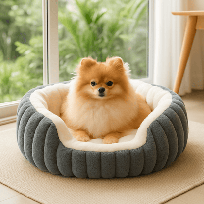 Panier-petit-chien-apaisant-antidérapant-lavable en machine-épais au rembourrage 100% coton haute densité-tissu extérieur en velours résistant aux griffes-ergonomique avec rebords surélevés-anti-anxiété et anti- stress-entourant-sécurisant pour chien de petite taille et chiot-un petit chien à poils long couché confortablement en boule dans son panier douillet ovale gris dans le salon de l'appartement