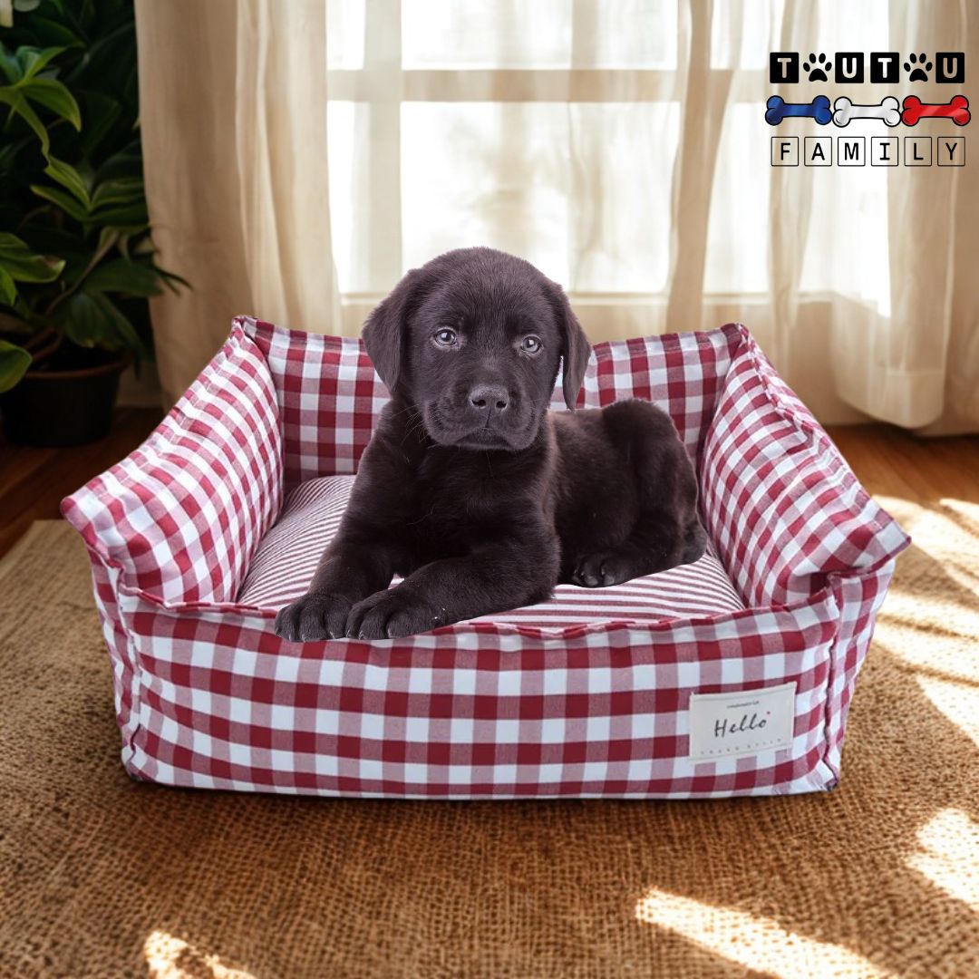 Panier-petit-chien-déhoussable-lavable-en-machine-antidérapant-100%-imperméable-et-coussin-et-oreiller-100%-coton-PP-housse-en-lin-un-petit-chien-couché-sur-le-ventre-dans-panier-rectangulaire-à-carreau-rouge-et-blanc-dans-son-salon