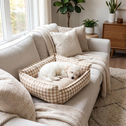Panier-petit-chien-et-chiot-carreaux-vichy, 100% déhoussable,housse coton respirante 100% coton à carreaux vichy, coussin intérieur et 3 boudin au rembourrage 100% coton pour un panier confortable et ergonomique, anti-anxiété pour chiot chien de petite race et petite taille, disponible en 2 tailles XS et S-un chiot Bichon maltais qui dort pasiblement dans son panier coussin rembourré avec rebords surélevés sur le canapé du salon de l'appartement