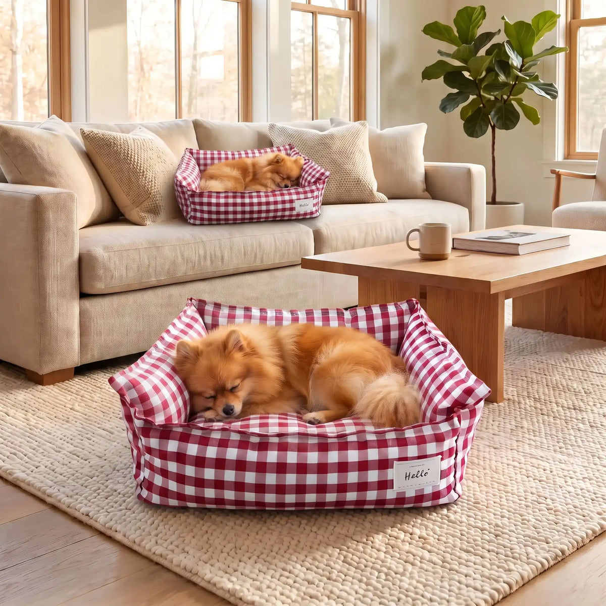 Panier-petit-chien-et-chiot-carreaux-vichy, 100% déhoussable,housse coton respirante 100% coton à carreaux vichy, coussin intérieur et 3 boudin au rembourrage 100% coton pour un panier confortable et ergonomique, anti-anxiété pour chiot chien de petite race et petite taille, disponible en 2 tailles XS et S-un loulou de poméranie qui dort paisiblement dans son panier coussin rembourré avec rebords surélevés au rembourrage 100% coton haute densité avec motif carreaux vichy rouge et blanc dans le salon