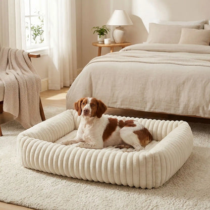 Panier-pour-chien-chiot-confort-velours, ergonomique avec son rembourrage 100% coton haute densité à mémoire de forme, lit chaud et apaisant, anti stress et anxiété avec son rebord surélevé sur 360° de forme rectangulaire, antidérapant et fond imperméable, lavable en machine-un chien de taille moyenne couché confortablement dans son panier rectangulaire de couleur blanc au design cosy en velours ultra-doux dans la chambre de la maison à côté du lit de son maitre