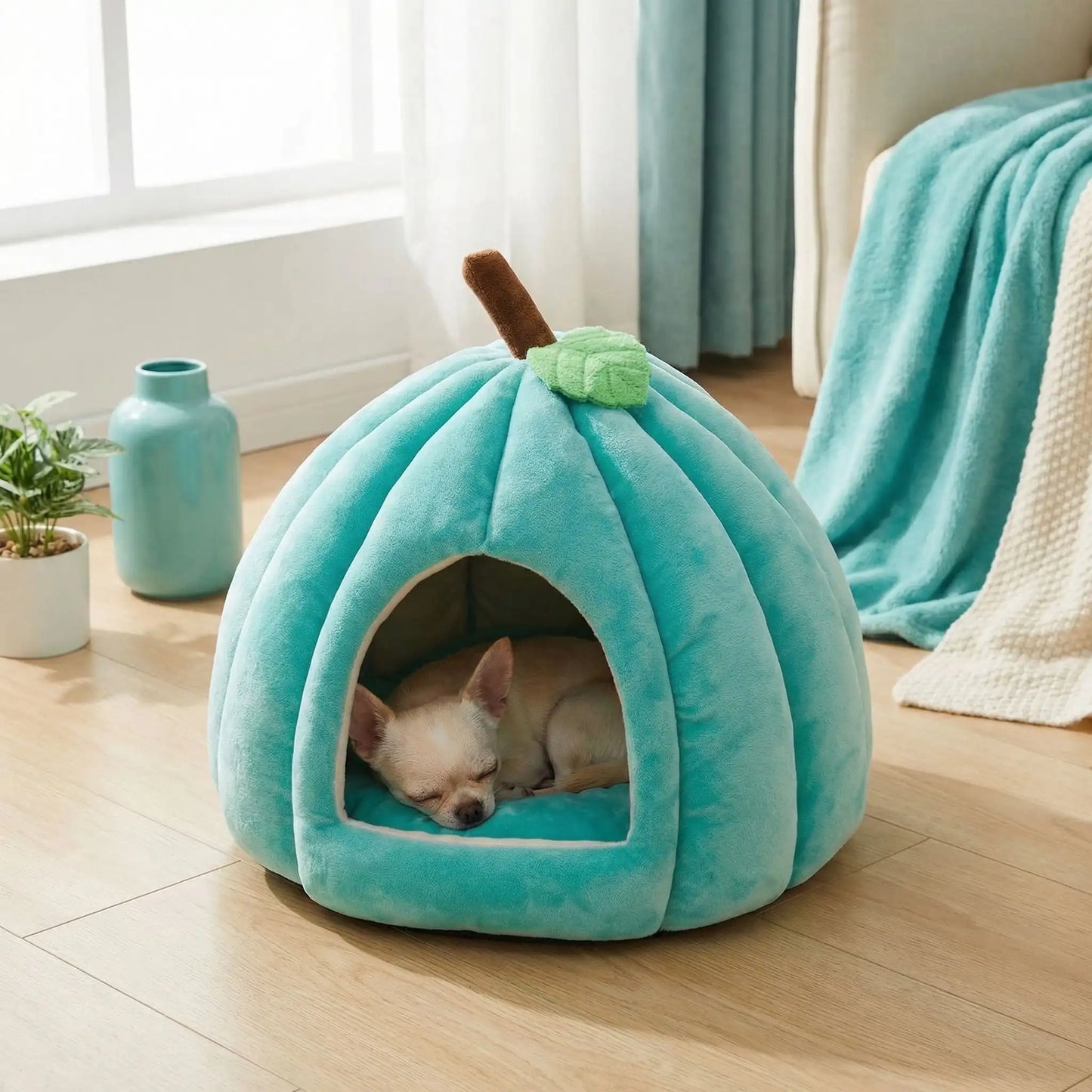 Panier-pour-chihuahua-anti-axiété design niche en forme de citrouille avec son coussin intérieur amovible ergonomique 100% coton haute densité, hypoallergénique, ultra-doux pour les peaux sensibles, enveloppant à 360° avec petite ouverture pour une entrée et sortie facile, antidérapant, protège les races sensibles du froid et des courants d'air de 0 à 2 kilos-un chihuahua qui dort paisiblement dans le panier niche de couleur bleu turquoise sur le salon de la maison