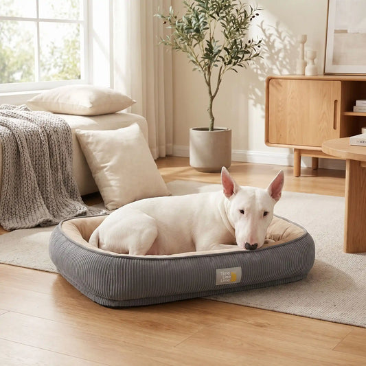 Panier-solide-pour-chien et chiot, 100% imperméable avec matelas à mémoire de forme, rembourrage 100% coton PP, coussin avec rebord cylindrique épais et entourant, housse intérieure en velours résistant aux griffes, fond antidérapant, déhoussable et lavable en machine pour chien de petite à moyenne taille de 0 à 25 kilos-un chien de race moyenne qui dort paisiblement en boule dans son panier ovale avec rebord surélevé dans le salon de la maison lifestyle