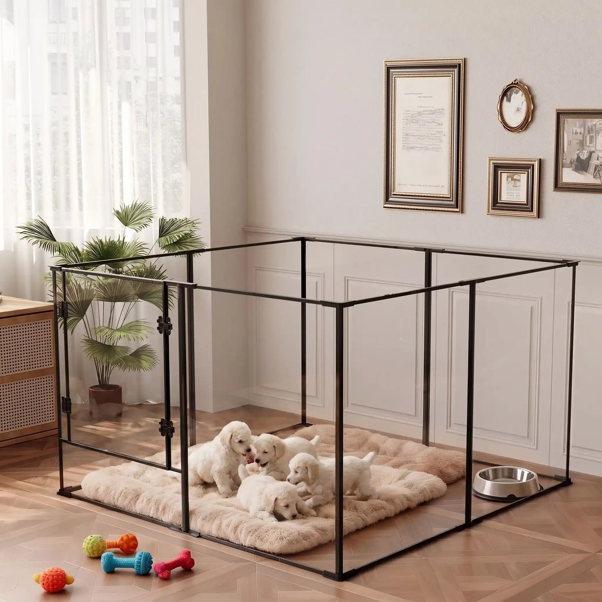 Parc-intérieur-pour-chien-chiot-cloisons-transparentes avec sa structure aluminium aéronautique , modulable en forme carré ou rectangulaire, avec porte verrouillable, vision 360° anti stress et anti anxiété pour les mises à bas, chiot, chien de petite et moyenne taille, disponible en deux modèles de 122x122x61cm et 122x122x76,5 cm- des chiots qui jouent paisiblement dans leur parc avec cloisons transparentes pour une vision 360° , anti morsure avec ses parois lisses anti évasion dans le salon de la maison