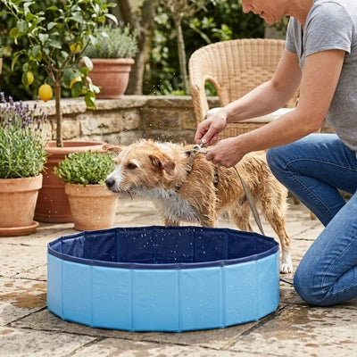 Pataugeoire-pour-chien-chiot-petit-50-cm-PVC robuste, parois rigides, fond antidérapant, pliable, compact et transportable-un chien de petite taille qui se rafraichit dans sa petite piscine avant de partir en balade l'été avec sa maitresse sur la terasse de la maison