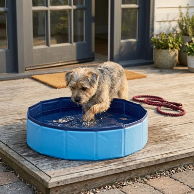 Pataugeoire-pour-chien-chiot-petit-50-cm-PVC robuste, parois rigides, fond antidérapant, pliable, compact et transportable, idéal pour les petit espace et les appartements pour rafraichir ou faire le bain des petits chiens-un chiot qui joue avec sa patteset  se rafraichit en mettant sa patte dans sa petite piscine remplit d'eau pour supporter les chaleurs caniculaire de l'été  sur la terrasse de la maison