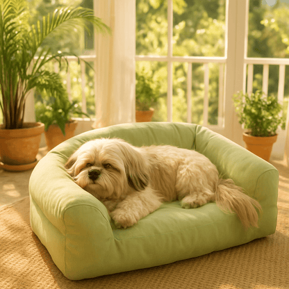 Petit-canapé-pour-chien-déhoussable et lavable en machine-100% coton haute densité ergonomique-housse résistante aux griffes-antidérapant-avec dossier et 2 accoudoirs-écoresponsable-matériau 100% naturel, hypoallergénique et respirant-lit 4 saisons-pour petit chien et chiot jusqu'à 7 kg-un petit chien à poils épais qui dort paisiblement dans son canapé vert dans la véranda de la maison
