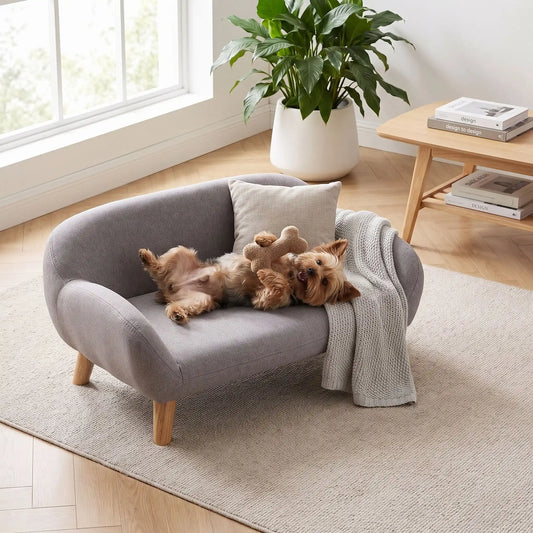 Petit-canape-pour-chien-chiot-design de couleur gris, dossier et accoudoirs arrondis dans un style scandinave, tissu résistant aux griffes, rembourrage 100% coton haute densité pour un confort optimal, structure en bois massif et surélevé avec 4 pieds en bois massif pour chiot et chien de 0 à 8 kilos-un chien de petite race couché sur le dos et les pattes en l'air sur son canapé gris design sur pied en bois massif et rembourrage en éponge coton ergonomique dans le salon de l'appartement
