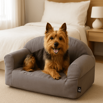 Petit-canapé-pour-chien-déhoussable et lavable en machine-100% coton haute densité ergonomique-housse résistante aux griffes-antidérapant-avec dossier et 2 accoudoirs-écoresponsable-matériau 100% naturel, hypoallergénique et respirant-pour petit chien et chiot jusqu'à 7 kg-un chien de petite taille heureux et couché paisiblement dans son canapé gris dans la chambre de l'appartement