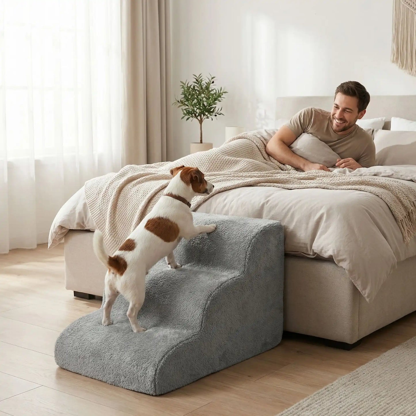Petit-escalier-pour-chien-anti-deformationen mousse éponge haute résilience qui atténue la pressions sur  ses articulations, résistant et doux pour ses coussinets, déhoussable et lavable en machine de couleur gris pour chien de petite taille, polyvalent compact et transportable-un Jack russell qui monte sur l'escalier pour rejoindre son maitre qui le regarde en souraint dans le lit dans la chambre de l'appartement