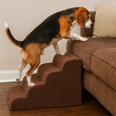 Petit-escalier-pour-chien-dehoussable-en-mousse haute résilience qui atténue la pressions sur  ses articulations, résistant et doux pour ses coussinets, déhoussable, imperméable et lavable en machine de couleur gris pour chien de petite taille, polyvalent compact et transportable-unchien de taille moyenne qui monte sur l'escalier pour rejoindre le canapé du salon de la maison en toute sécurité 