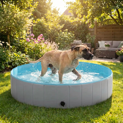 Piscine-pour-chien-xxl-chiot-rigide-bouchon-vidange rapide et facile,pliable et transportable en panneaux de fibres rigides et naturels avec PVC ultra-résistant avec couche intérieure renforcée de diamètre 160 cm pour chien de grande race, fond antidérapant et résistant aux griffes-un Dogue allemand qui se secoue tout heureux dans la grande piscine pour chien rigide sur la terrasse du jardin de la maison en été