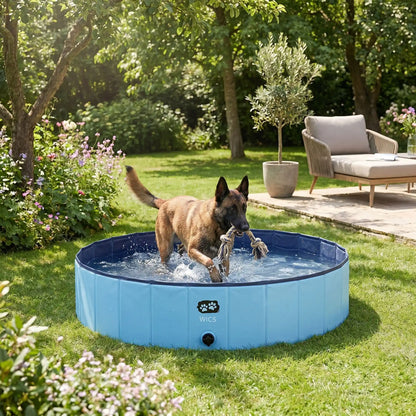 Piscine-pour-chiens-rigide en panneaux MDF robuste anti-affaissement, PVC sans produits toxiques , pliable et lavable de diamètre de 100 cm et de 30 cm de hauteur étudié pour une entrée et sortie facile et sécurisé pour les chiens de taille moyenne, avec bouchon de vidange pratique et rapide, polyvalente piscine à balle, bassin, baignoire pour toilettage-un chien actif de taille moyenne qui se baigne et joue avec bonheur avec son jouet dans la piscine remplie d'eau dans le jardin de la maison en été