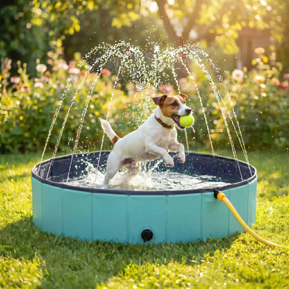 Piscine-rigide-pour-chien-chiot-avec- raccord universel au tuyau d'arrosage pour jets d'eau,rigide-vidange rapide et facile,pliable, transportable en panneaux de fibres rigides et naturels avec PVC ultra-résistant avec couche intérieure renforcée pour chien, fond antidérapant et résistant aux griffes-un chien de petite taille de race énergique qui saute tout heureux avec sa balle de tennis dans sa machoire dans sa piscine arrosé par les jets d'eau  dans le jardin de la maison en été