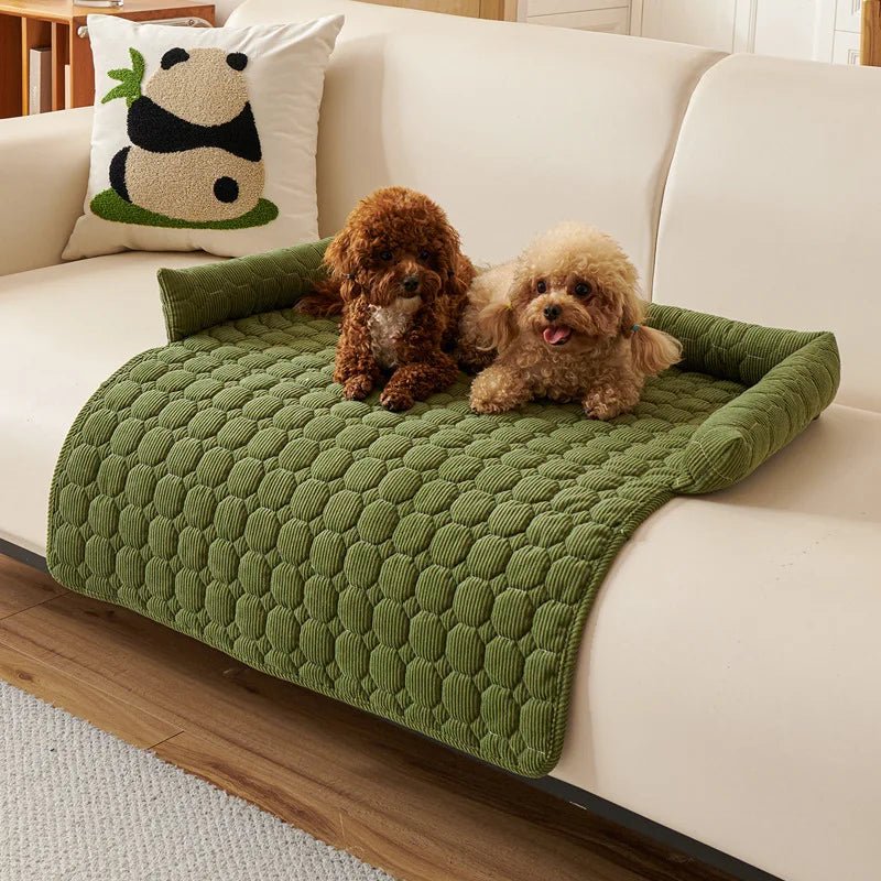 Protection-canapé-chien-antidérapant-avec-rebord en forme de traversin en U au rembourrage 100% coton haute densité et hypoallergénique-lavable en machine qui ne retient pas les poils, imperméable et respirant en velours cristal ultra doux-deux chiots caniche couché sur le protège canapé de couleur vert sur le canapé du salon de la maison