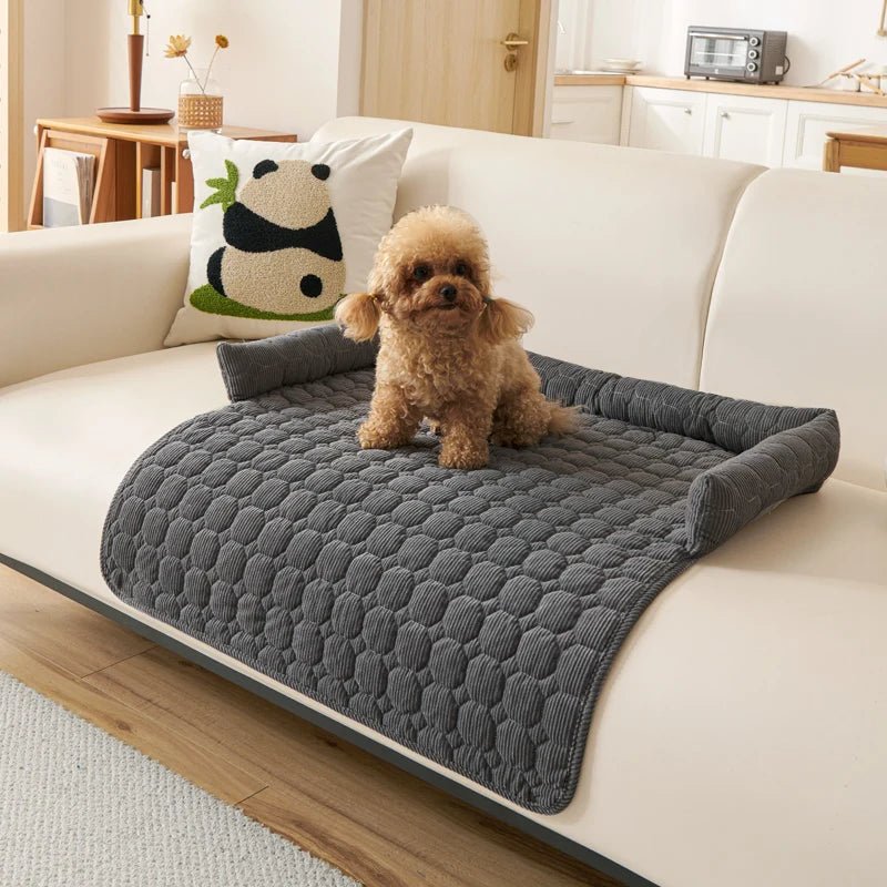 Protection-canapé-chien-antidérapant-avec-rebord en forme de traversin en U au rembourrage 100% coton haute densité et hypoallergénique-lavable en machine qui ne retient pas les poils, imperméable et respirant en velours cristal ultra doux-un chien moyen assis confortablement sur le protège canapé de couleur gris foncé sur le canapé du salon de la maison