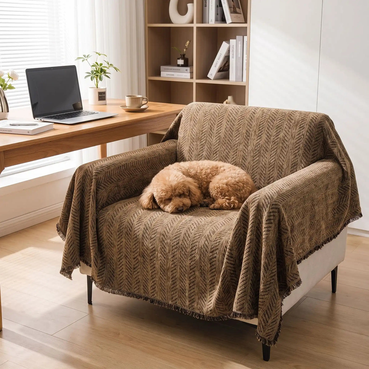 Protection-canape-chien--anti-poils-résistante aux griffes, tissage chenille coton et polyester, écoresponsable avec franges pour un style bohème chic de couleur marron, disponible en 4 tailles pour fauteuil/canapé une place, deux places, 3 places et 4 places, lavable en machine, doux respirant confortable et 4 saisons-un chien de petite taille qui dort en boule confortablement sur le plaid de protection pour fauteuil une place dans le bureau de l'appartement
