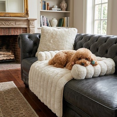 Protection-canape-chien-lit-antiderapant avec traversin entourant sur 3 côté, en fausse fourrure rembourrage 100% coton haute densité, polyvalent pour le sol, canapé, protège lit, portège siège voiture, tapis de cage, pliable, léger et portable pour petit à chien moyenne taille-dimensions 75x75 cm-un chien moyen couché sur le protège canapé pour chien en fausse fourrure douce de couleur blanc crème , sa tête couchée sur le traversin rembourré sur le canapé en cuir capitonné dans le salon de la maison