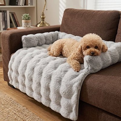 Protection-canape-chien-lit-antiderapant avec traversin entourant sur 3 côté, en fausse fourrure rembourrage 100% coton haute densité, polyvalent pour le sol, canapé, protège lit, protège siège voiture, tapis de cage, pliable, léger et portable pour petit à chien moyenne taille-dimensions 75x75 cm-un caniche allongé sur la protection en fausse fourrure ultra douce de culeur grise, sa tête reposant sur le traversin rembourré sur le canapé du salon de la maison