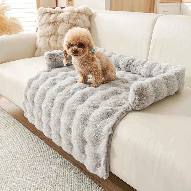 Protection-canape-chien-lit-antiderapant avec traversin entourant sur 3 côté, en fausse fourrure rembourrage 100% coton haute densité, polyvalent pour le sol, canapé, protège lit, protège siège voiture, tapis de cage, pliable, léger et portable pour petit à chien moyenne taille-dimensions 75x75 cm-un caniche assis sur la protection en fausse fourrure ultra douce de couleur gris clair sur le canapé du salon de la maison