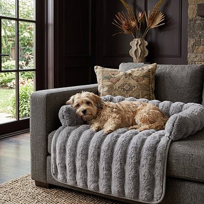 Protection-canape-chien-lit-antiderapant avec traversin entourant sur 3 côté, en fausse fourrure rembourrage 100% coton haute densité, polyvalent pour le sol, canapé, protège lit, protège siège voiture, tapis de cage, pliable, léger et portable pour petit à chien moyenne taille-dimensions 75x75 cm-un chien moyen couché confortablement contre le traversin rembourré en coton sur la portection en fausse fourrure grise sur le canapé du salon de la maison