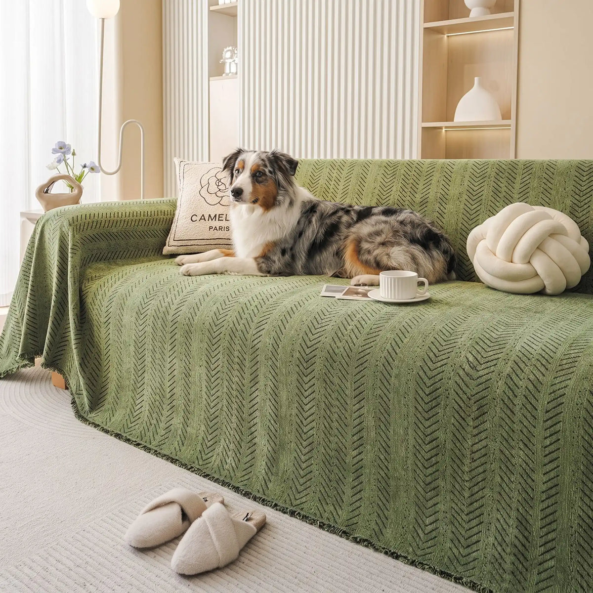 Protège-canapé-chien-anti-poils-résistante aux griffes, tissage chenille coton et polyester tissé résistant, écoresponsable avec franges pour un style bohème chic de couleur vert olive, disponible en 4 tailles pour fauteuil/canapé une place, deux places, 3 places et 4 places, lavable en machine, doux respirant confortable et 4 saisons-un chien de moyenne taille couché conofrtablement sur le protège canapé 4 places dans le salon de la maison