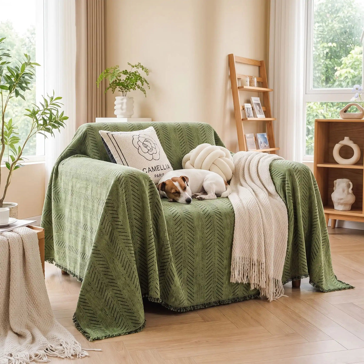 Protège-canapé-chien-anti-poils-résistante aux griffes, tissage chenille coton et polyester tissé résistant, écoresponsable avec franges pour un style bohème chic de couleur vert olive, disponible en 4 tailles pour fauteuil/canapé une place, deux places, 3 places et 4 places, lavable en machine, doux respirant confortable et 4 saisons-un chien de petite taille qui dort en boule confortablement sur le plaid de protection pour fauteuil une place dans le bureau de l'appartement
