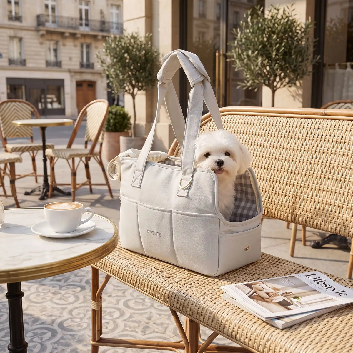 Sac-de-transport-chien-chiot- design sac à main avec multiples poches pour chien de 0 à 6 kg max,imperméable, coussins intérieur 100% coton lavable et rembourré, deux sangles avec poignées confort rembourré et renforcé pour être porté à la main ou sur l'épaule, attache laisse intégré pour sa sécurité et fillet refermable sur le so et ouverture latéral pour qu'il passe sa tête-gros plan sur le sac de transport avec un petit chien assis dedans posé sur le banc de la terrasse du café en été