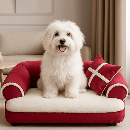 Sofa-chien-taille-M-un Coton de Tuléar confortablement assis dans son canapé moelleux haute résilience en rembourrage 100% coton PP déhoussable et lavable pour un soutien ergonomique avec coussin dans le salon de la maison