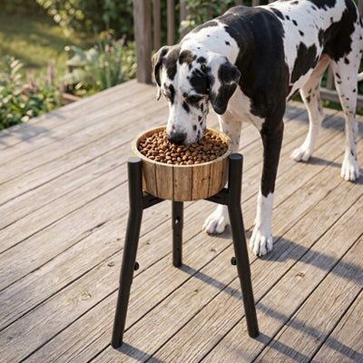 Support-gamelle-chien-chiot-réglable en acier noir de 3 hauteurs de 19 à 28 cm du sol pour chien et chiot de taille moyenne à grande mesurant de 30 à 52 cm au garrot, idéal pour suivre la croissance d'un chiot, pieds antidérapant et inclinés pour une stabilité sur sol irrégulier, démontable et transportable, robuste et solide-un chien de grande taille qui mange confortablement et avec la bonne posture grâce à sa gamelle incorporé dans le support surélevé à la hauteur sur la terrasse du jardin du pavillon