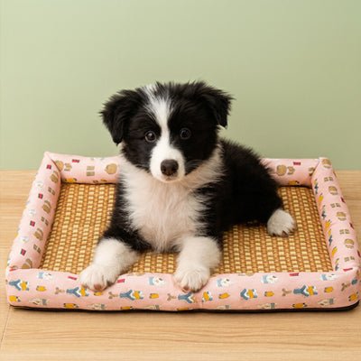 Tapis-Chien-rafraichissant-bambou naturel-rembourrage 100% coton-antidérapant-lavable-respirant-avec rebords surélevés-multiusage-polyvalent-imperméable-résistant-aux-griffes-un petit chien assis sur son tapis rafraichissant sur le sol du salon de la maison en plein été 