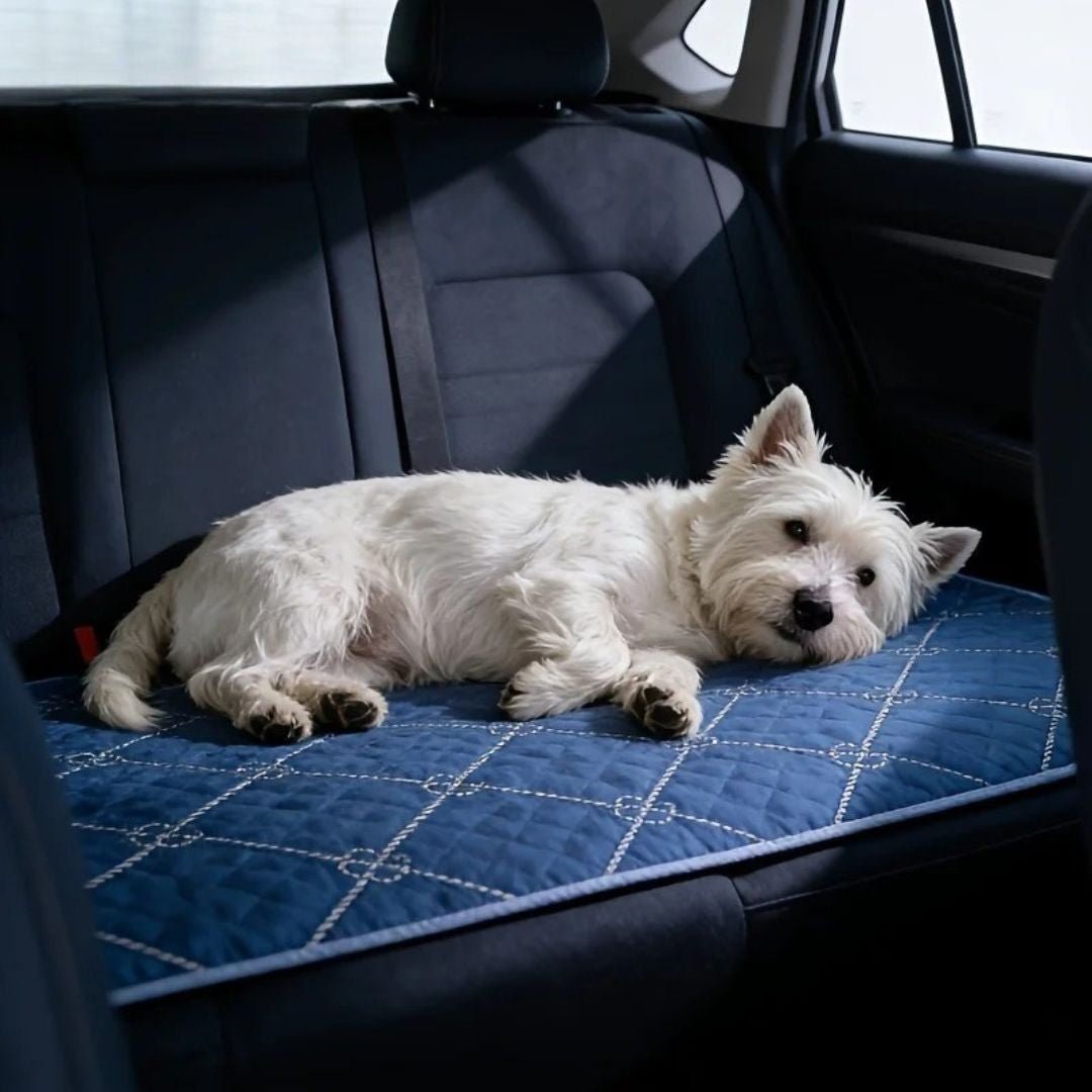 Tapis-absorbant-pour-chien-chiot-lot-de-2- surface douce er résistante au griffes , coton haute densité, 100% imperméable, antidérapant, ne retient pas les poils, design chic bleu roi avec géométrie fine, lavable en machine, réutilisable, économique, vendu par lot de 2, en 4 tailles : M, L, XL et XXL pour chiot et chien de petite à très grande race,protection canapé, voiture, caisse de transport, literie, sol, etc- un Westie couché sur le flanc sur le tapis en protège siège arrière voiture
