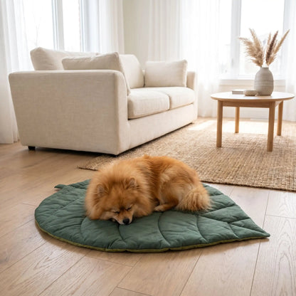 Tapis-pour-chien-chiot-design en forme de feuille, 100% coton réversible et rembourrage coton haute densité, coloris vert foncé et vert clair sur l'autre face, coutures solides et finitions soignées pour un couchage chien décoratif et polyvalent, léger transportable, coussin douillet pour chiot et chien de petite taille de 0 à 10 kilos-un chien de race naine qui dort paisiblement en boule sur le tapis original et design en forme de feuille de couleur vert sur le sol du salon de la maison