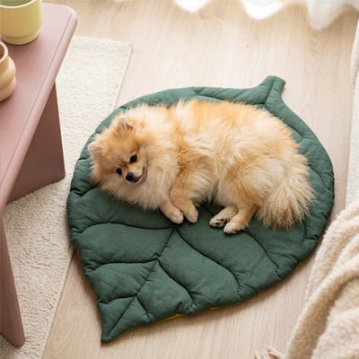 Tapis-pour-chien-chiot-design en forme de feuille, 100% coton réversible et rembourrage coton haute densité, coloris vert foncé et vert clair sur l'autre face, coutures solides et finitions soignées pour un couchage chien décoratif et polyvalent, léger transportable, coussin douillet pour chiot et chien de petite taille de 0 à 10 kilos-un chien de petite taillle qui dort  sur le flanc sur tapis douillet, original et design en forme de feuille sur le sol en parquet du sol du salon de l'appartement