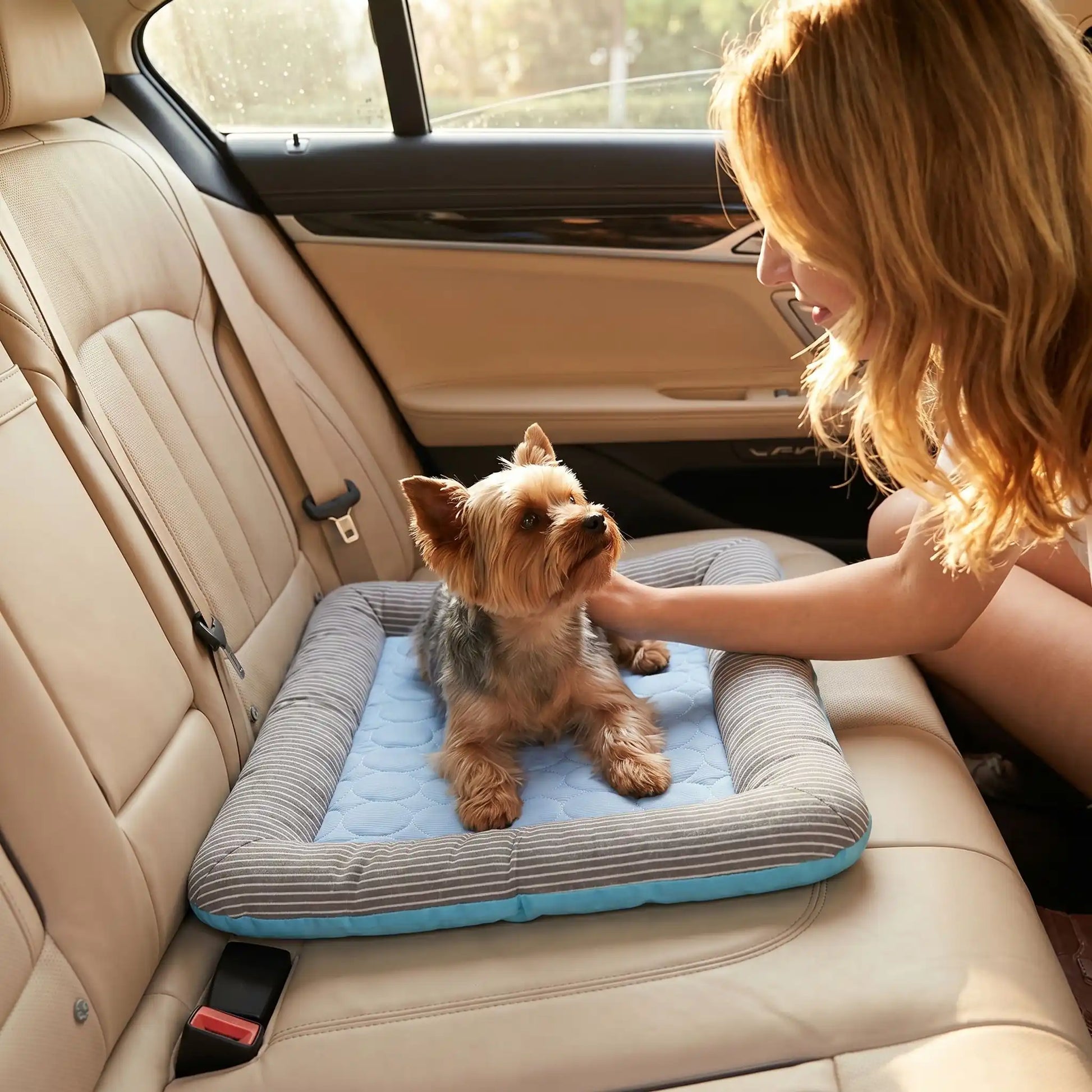 Tapis-pour-chien-rafraichissant-coussin-avec-rebord cylindrique rembourré 100% coton haute densité entourant et sécurisant avec matelas épais en coton respirant et surface soie glacée pour un effet rafraichissant instantané sans eau, sans électricité, écoresponsable, 100% imperméable, matériau hypoallergénique et naturel, lavable en machine-un chien miniature confortablement couché sur son coussin rafraichissant avec rebord surélevé sur les sièges arrières en cuir de la voiture caressé par sa maitresse